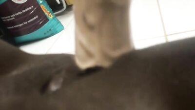 Black babe and huge rubber dildo