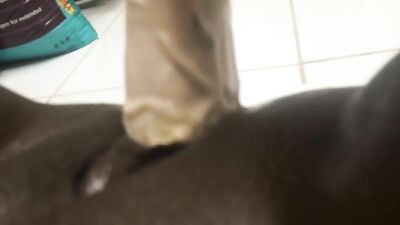 Black bitch playing with huge dildo
