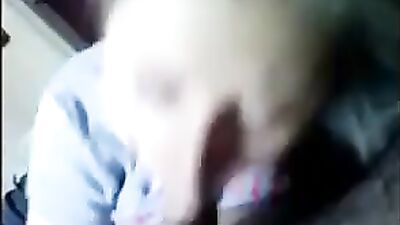 Nice amateur lady sucking