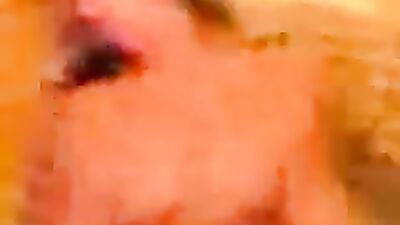 Amateur busty girlfriend hammered missionary