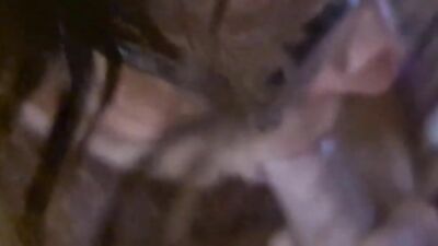 Seductive POV blowjob at home