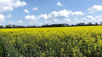 Blonde babe finger fucks herself in the field