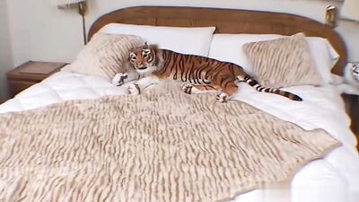 Bedroom Hookup Filmed Close and Rough