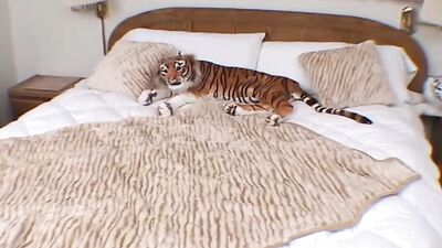 Pason Gets Fucked in a Bedroom Hookup